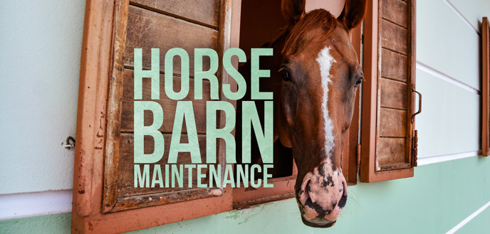 You are currently viewing 9 Horse Barn Maintenance Tips for First-Time Horse Owners