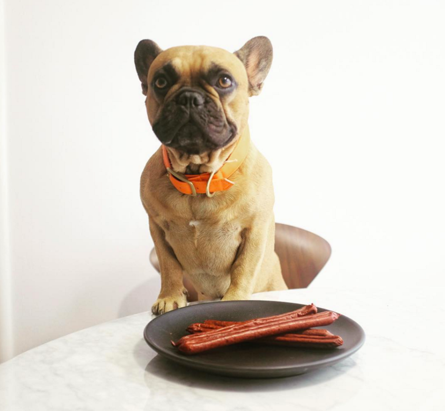 You are currently viewing A Recipe for Success in the Changing Pet Food Industry – A conversation with Aaron Merrell and Nichole Nonini of Plato Pet Treats.