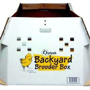 BROODER BOX, BACKYARD EA.