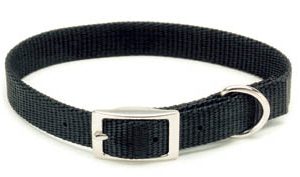 DOG COLLAR, 401  18″ HUNT