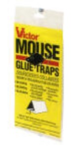 GLUE BOARD, MOUSE PAIR