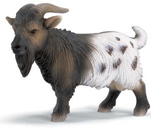 TOY, MINI BILLY GOAT EA.