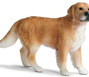 TOY, GOLDEN RETRIER MALE