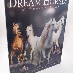 BOOK, DREAM HORSE POSTER