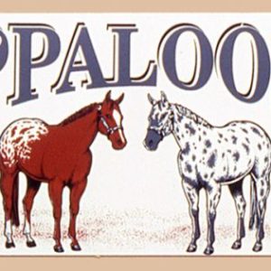 LICENSE PLATE, APPALOOSA