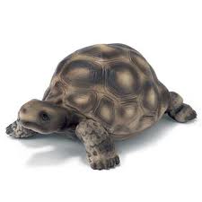 TOY, GIANT TORTOISE EA. 14601